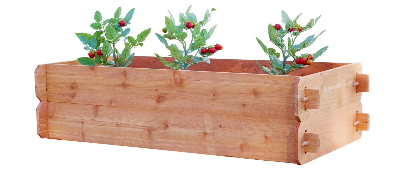 Timberlane Gardens double deep 2x4 raised garden bed with three tomato plants.