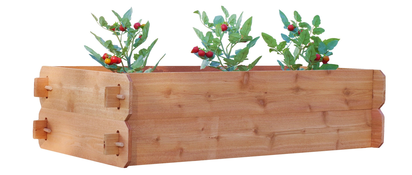 Timberlane Gardens double deep 2x4 raised garden bed with three tomato plants.